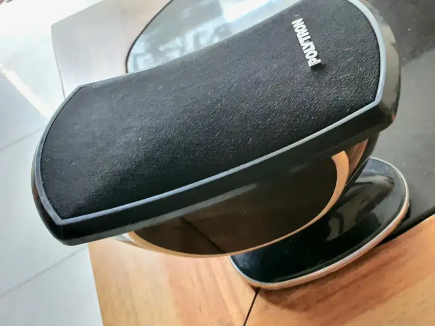 Speaker dinding polytron