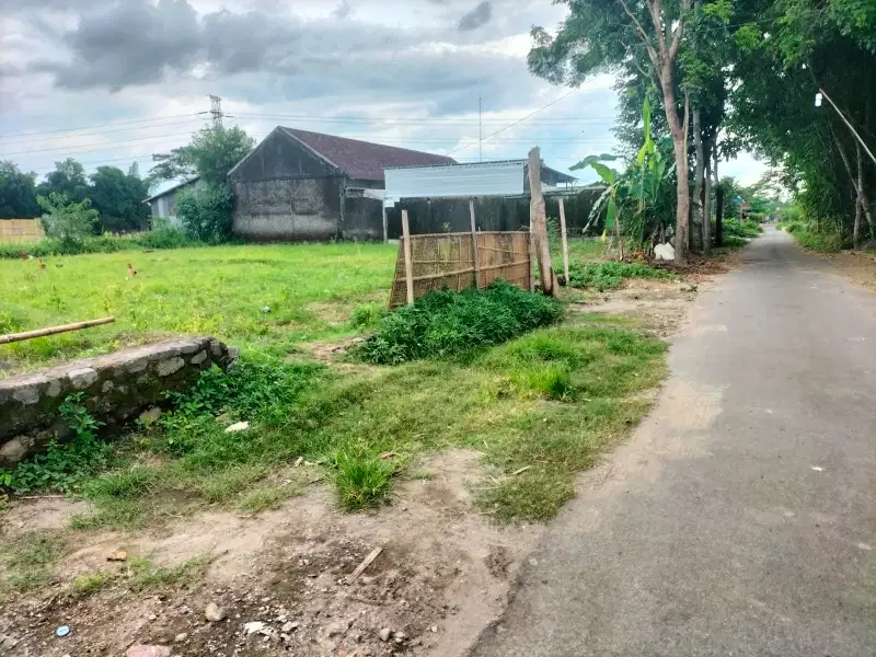 Dijual sawah lt 1675m ld 31m deket jalan raya