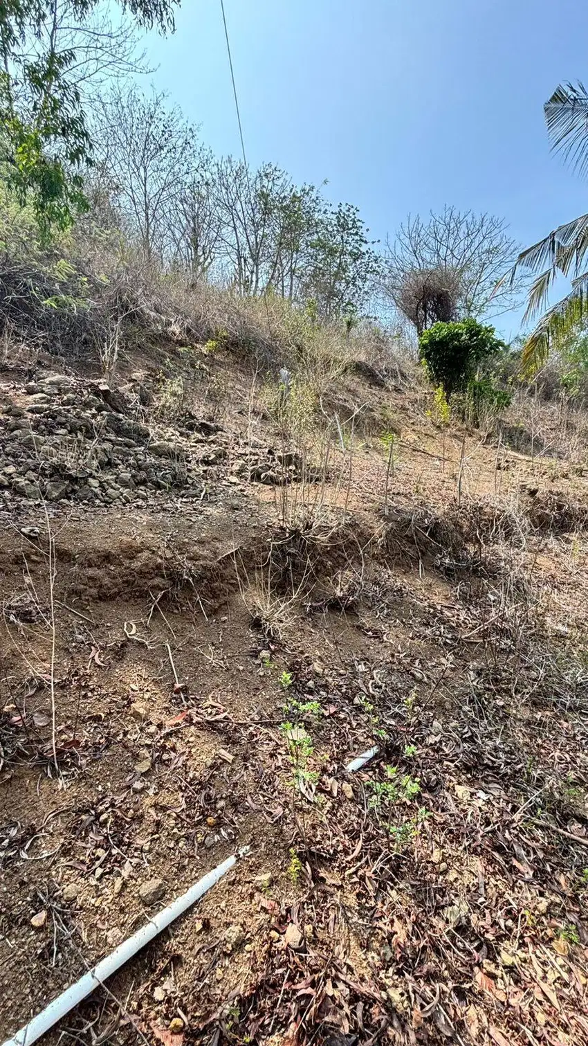 Dijual: Tanah Bersertifikat dan Sporadik! Di GILI Gede