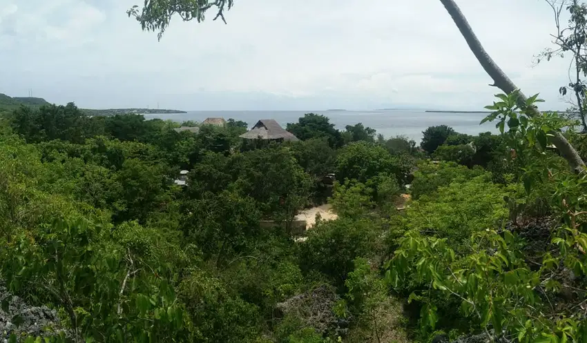 Lahan di belakang Bara Beach Bungalows