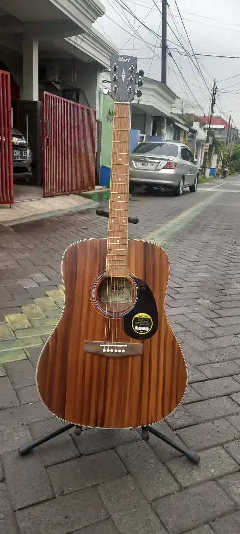 Gitarcortt motif baru mantab rosewood new murah