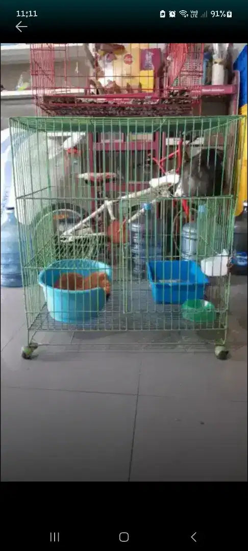 Kandang besi anjing kucing musang