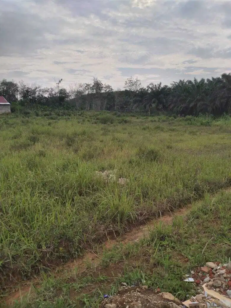 Tanah / lahan Di Pulau Punjung Dharmasraya Sumatera Barat