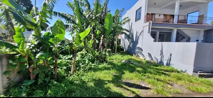 Tanah di Bedugul Bali hanya 50 meter dari jalan Kebun Raya