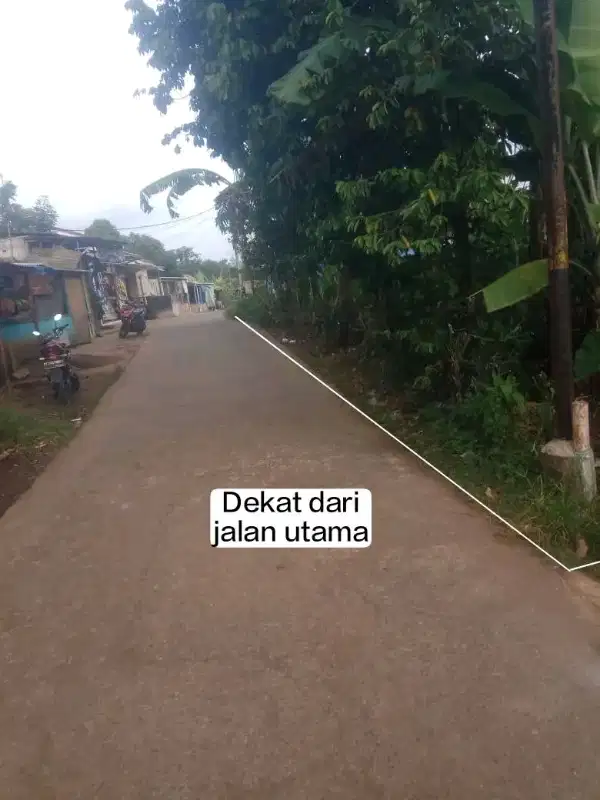 TANAH KEBUN MURAH DI PINGGIR JALAN DESA TEGAL KEMANG RP 700 RB/M