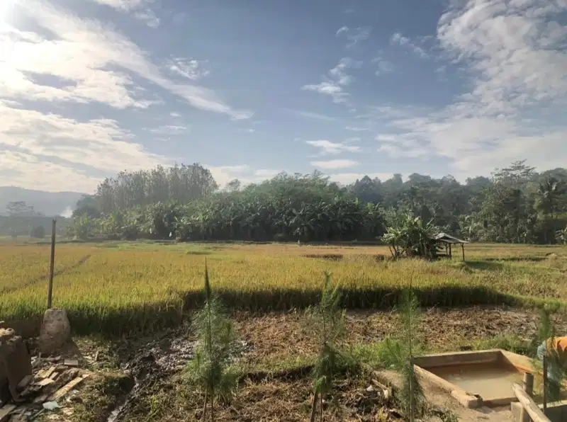 JUAL CEPAT SAWAH ADA SUMBER MATA AIR PANASNYA PURWAKARTA