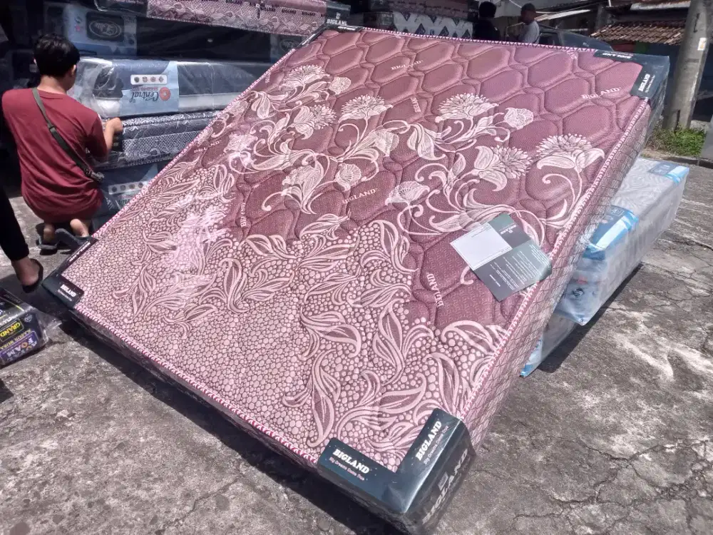 BIGLAND BIG PROMO!!!