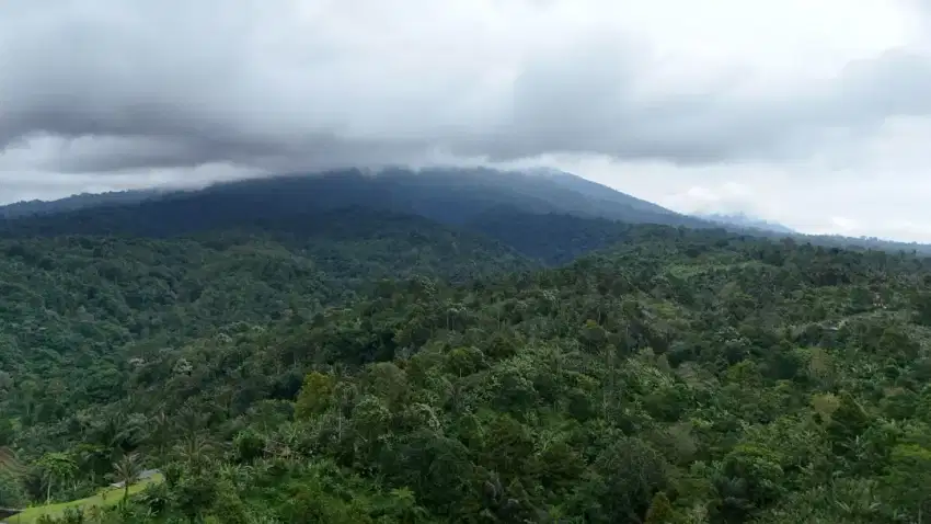 Tanah Strategis Dijual - Lokasi Premium & Harga Terjangkau.