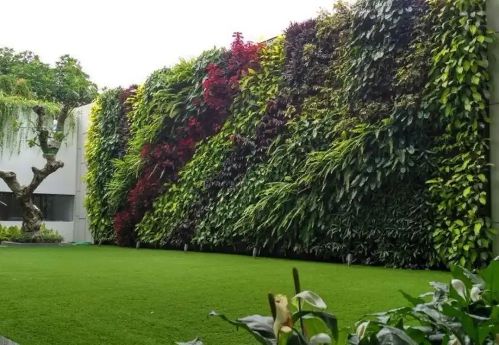 Taman vertikal garden bergaransi