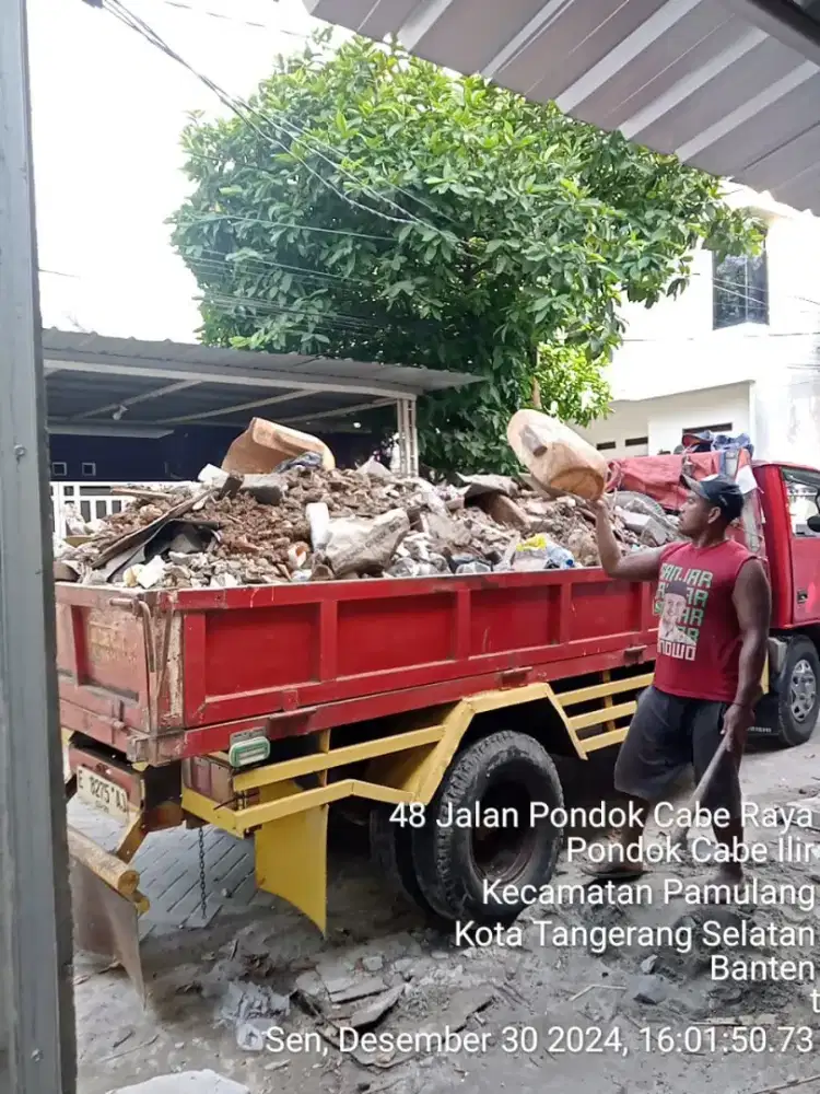 JASA BUANG PUING MURAH BERKUALITAS