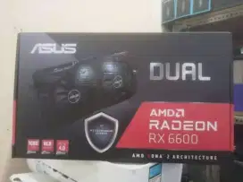 VGA Asus Radeon RX 6600