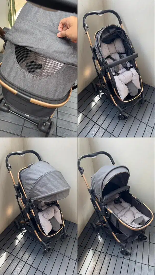 Babydoes Stroller Pronto RTS