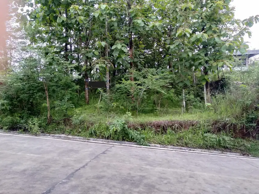 Dijual Tanah di Area Wisata Bukit di Prambanan, Sleman, Yogyakarta