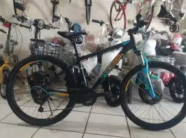 Cod, jual sepeda mtb 26 Polygon monarch 5 ( bekas )