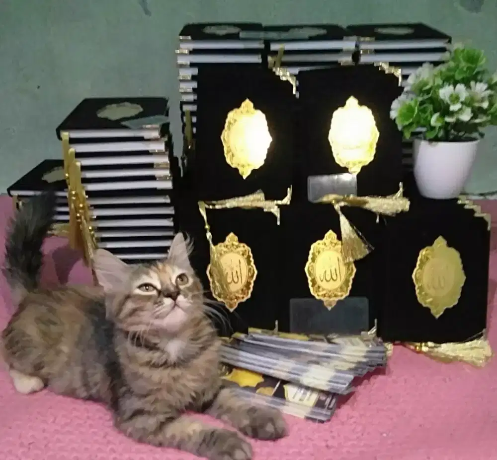 Buku yasin hardcover bludru