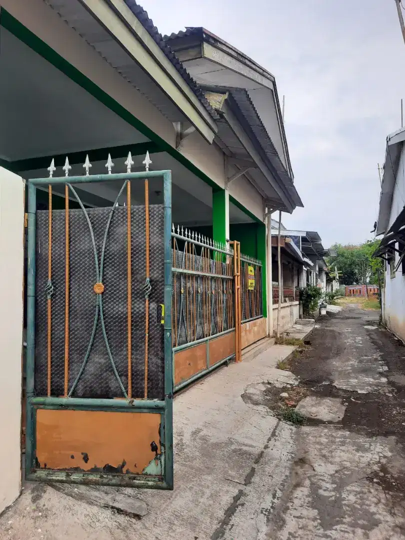 Disewakan rumah