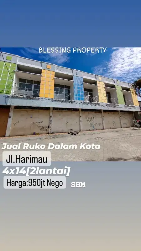 ruko jl harimau murah