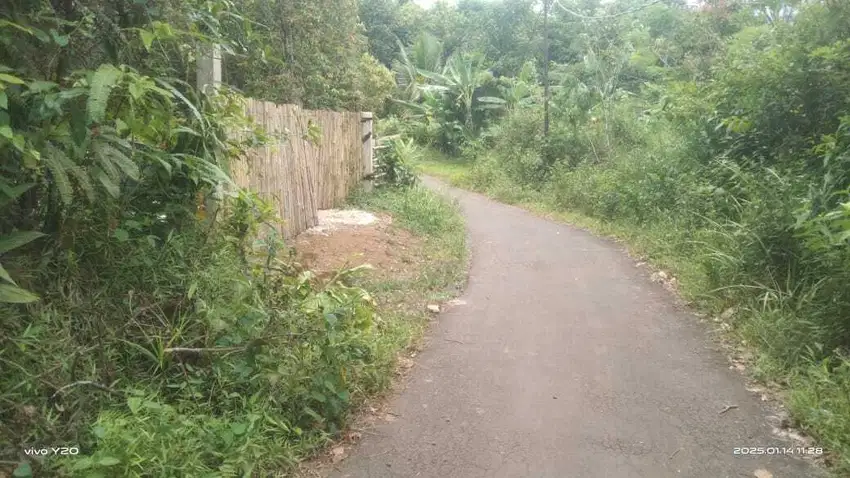 Tanah kebun manggis dan durian