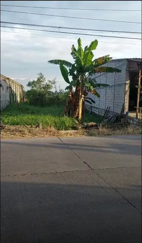 Tanah pinggir jalan raya dekat pasar balong panggang