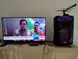 Tv cooca + speaker asatron