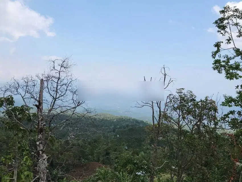 Tanah full view laut dan kota singaraja kontur terasering meninggi