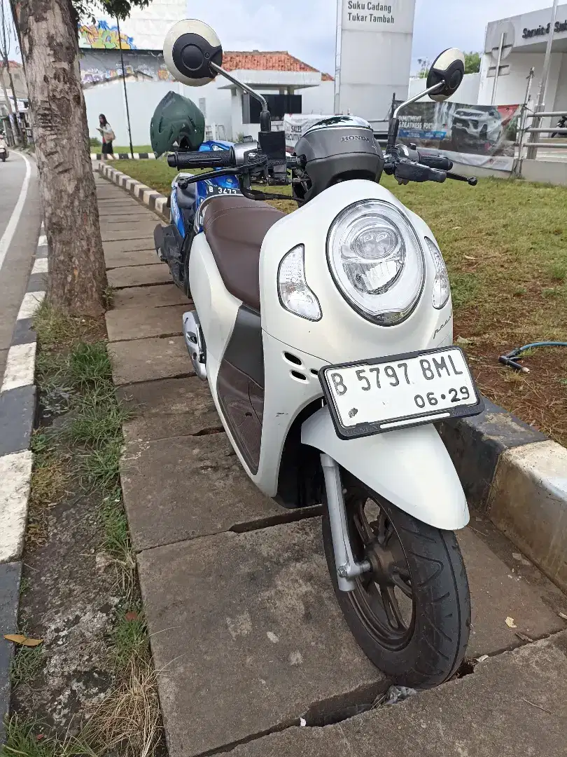 Honda Scoopy Prestige 2024 gress