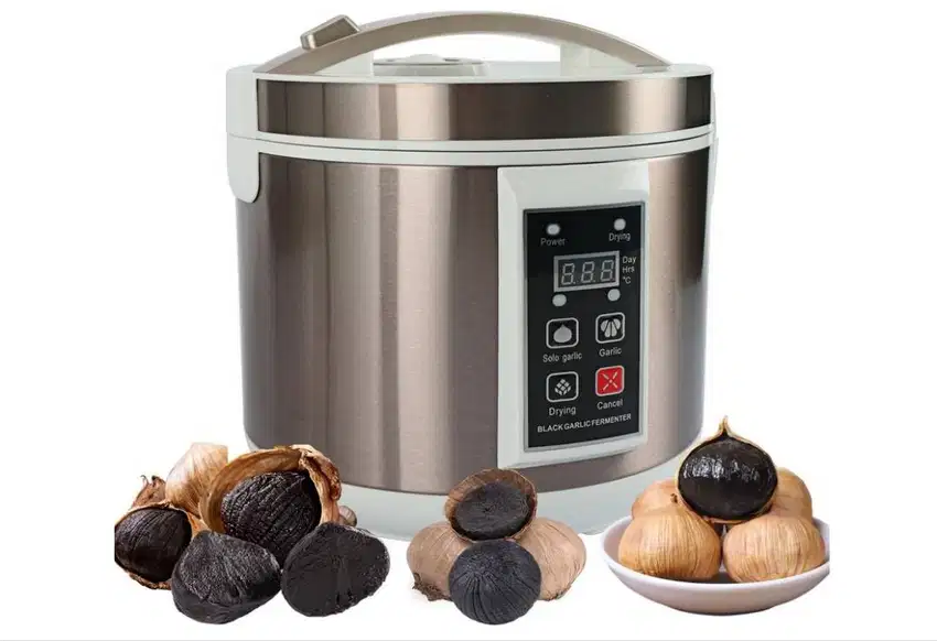 HEALBEAU Black Garlic Fermenter (Mesin Fermentasi Bawang Hitam)