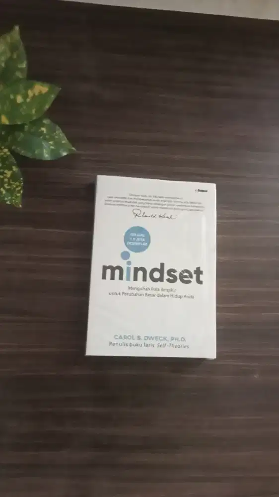 Buku mindset Carol dwek