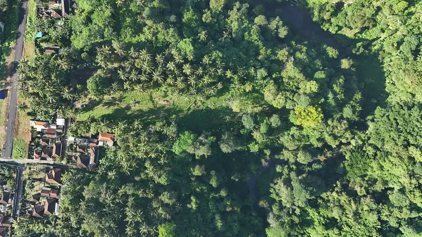 TANAH MURAH DENGAN VIEW HIJAU DI AREA GIANYAR