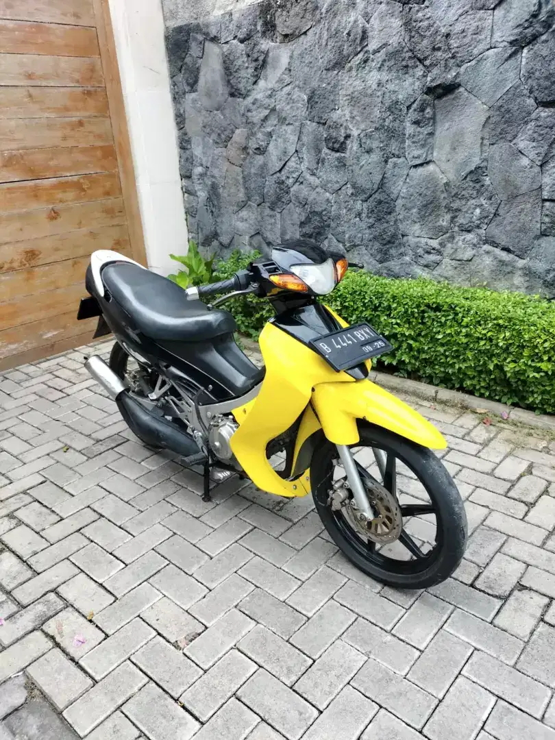 Satria hiu asli kuning