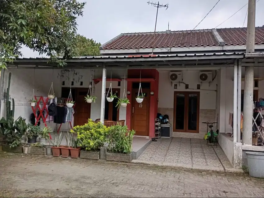 RUMAH LUAS CANTIK & MURAH DI CIBINONG KARADENAN | NEGO SAMPAI JADI