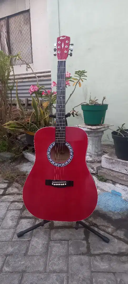 Gitar jumbo cort tsnam besi termurah merah new