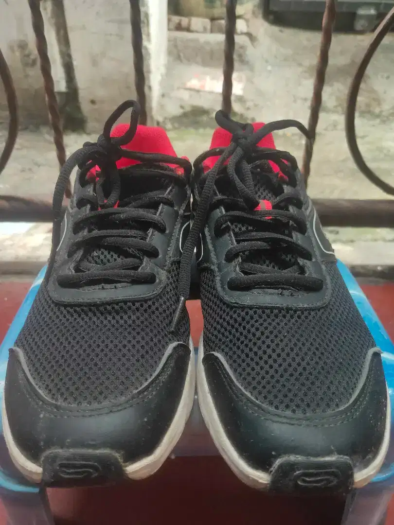 Sepatu Running Original Kalenji Decathlon