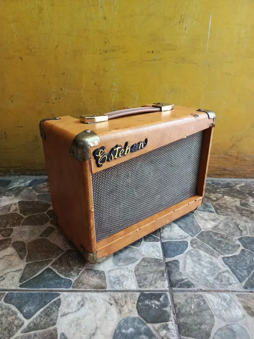 ampli gitar esteban G-10 (normal)