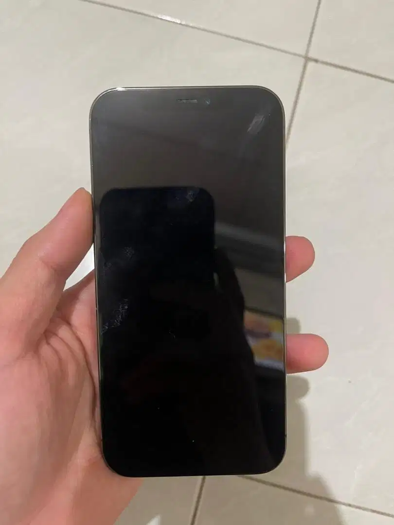 Iphone 12 pro 256 gb mulus