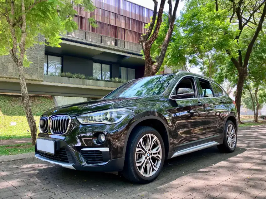 BMW X1 F48 
sDrive18i xLine 2017