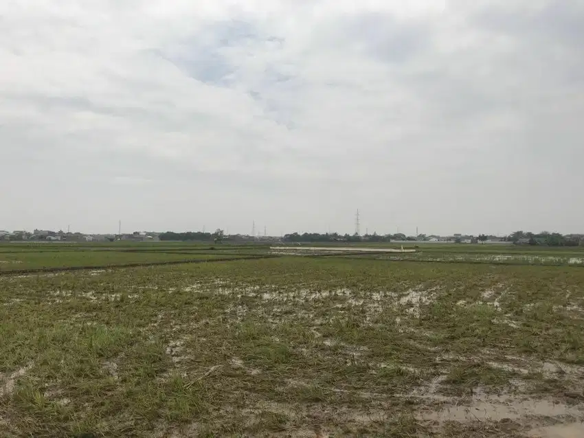 Dijual Tanah di Karawang jawa barat dengan luas total 79.108m2