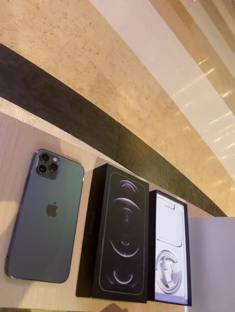 Iphone 12 pro 256gb langsung gas baru