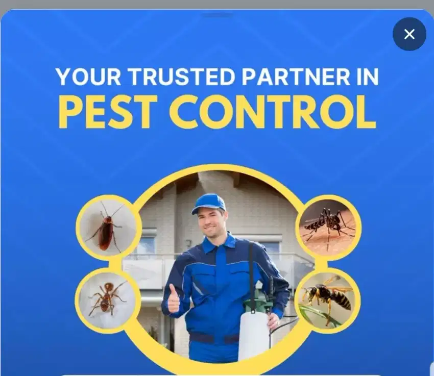 Pest control makassar area