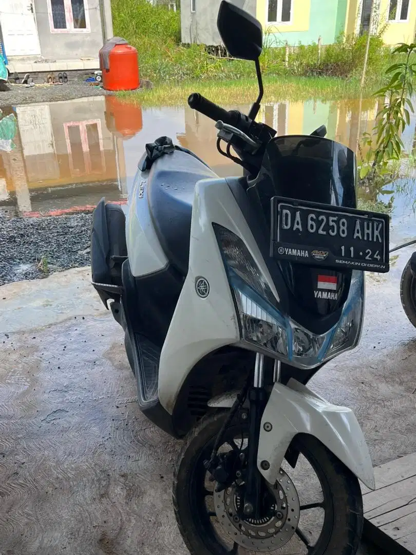 Lexi 2019 pajak plat mati bulan 11 td