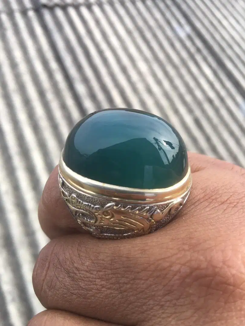 Bacan Coklat Jumbo HQ