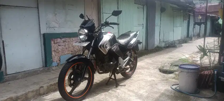 Tiger Revo 2008