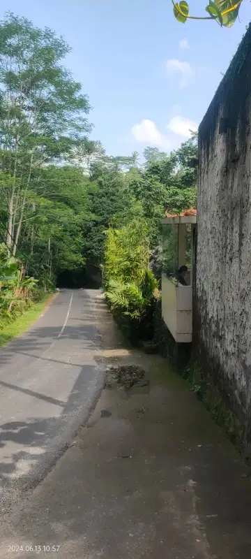 DIJUAL TANAH MURAH 28,6 ARE LOKASI TEGALALANG UBUD (NEGO)