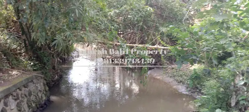 Tanah Disewakan Murah Luas 5 Are Kawasan Villa di Ubud