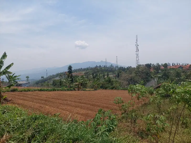 Tanah kebun pinggir jalan desa cigelang pamulihan