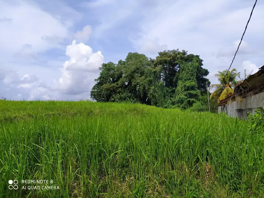 Disewakan tanah di Nyambu Kaba - Kaba Tabanan Bali dkt Seseh