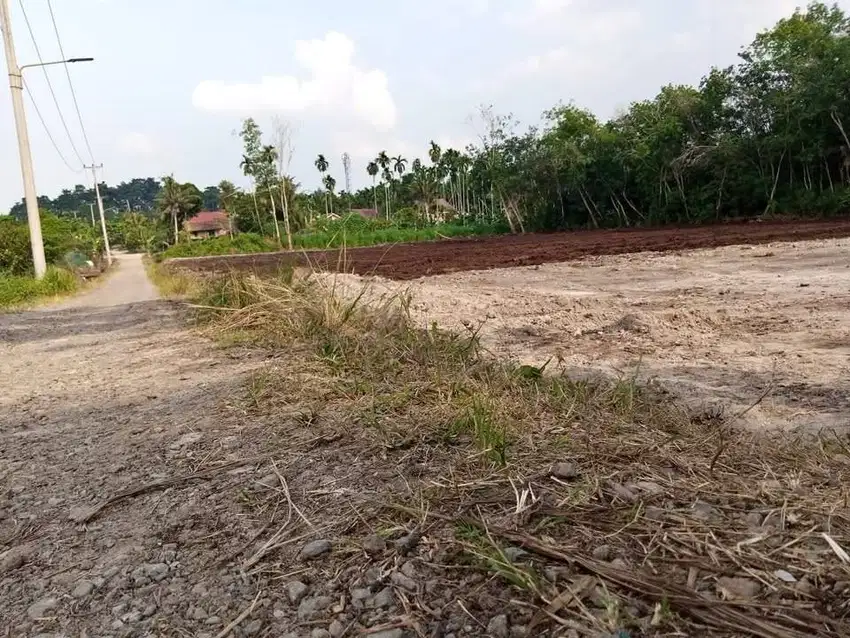 tanah kapling siap bangun tanjung nangka