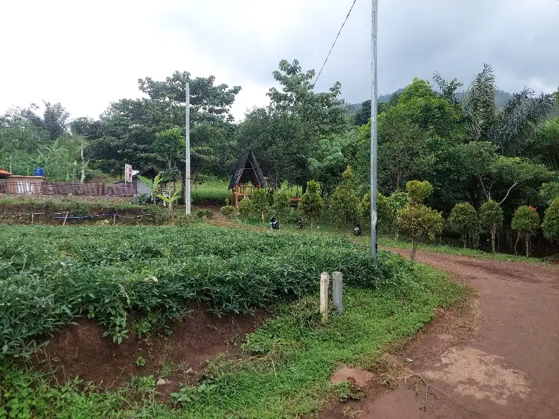 Tanah kebun view bagus, masuk mobil patambom