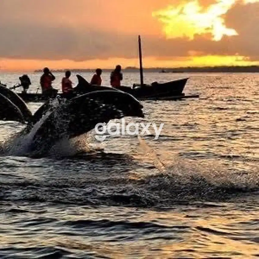 Tanah BALI Dekat Pantai paling MURAH