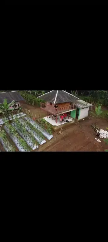 Dijual Kebun Sayuran, Lt. 3000, Darangdan, Purwakarta.